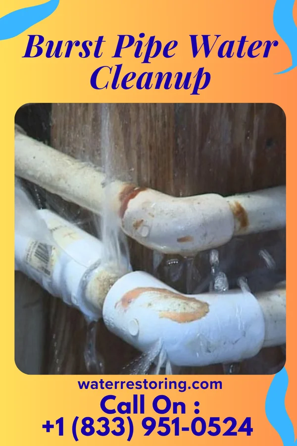 Burst Pipe Water Cleanup in Fall River, WI